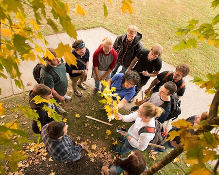 students in an outdoor tree lesson Hands on Learning