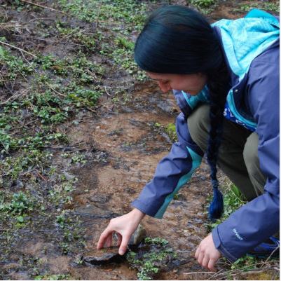 Environmental Science