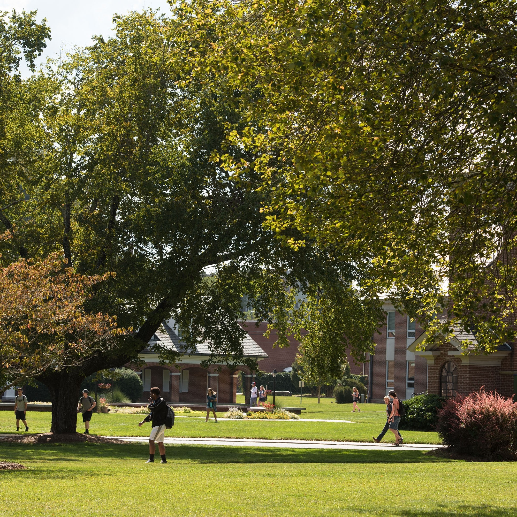 Indoor Facilities at Brevard College Currently Open to Students